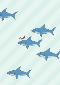 サメ　たくさん19