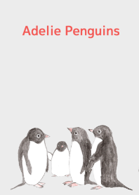 Adelie Penguins