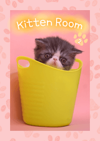 Kitten Room 2