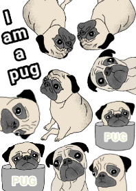It is theme the pug. I am a pug
