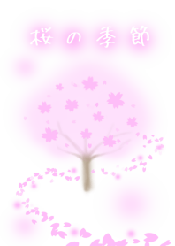 Cherry blossom season coming