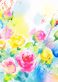 Beautiful rose flower(R4054)