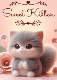 Sweet Kitten No.62
