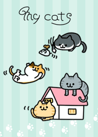 my cats