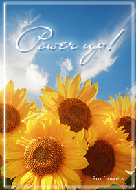 Summer Sunshine 01_2