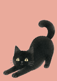 A unique cat09 pink & blue