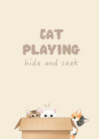 Cat hide and seek.2