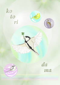 Little birds ball