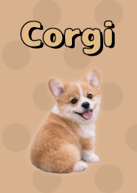 コーギーの着せ替え Beige 02