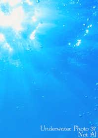Underwater Photo37 Not AI