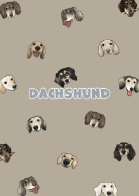 dachshund4 / khaki