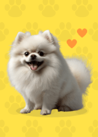 귀여운 포메라니안 테마 Yellow 02