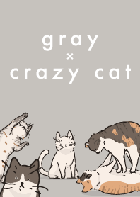 Gray x Crazy Cat