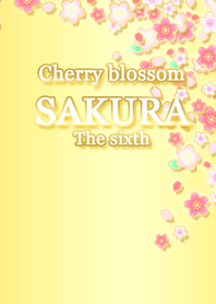 Cherry blossom SAKURA The sixth