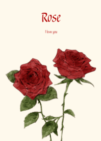 Birth flower June