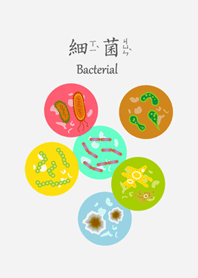 可愛いバクテリアの大きなコレクション