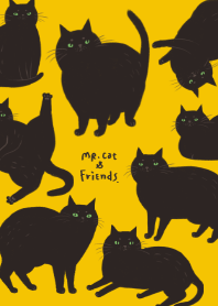 we all love black cat