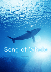 고래의 노래 .