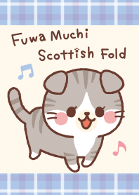 Fluffy Scottish Fold