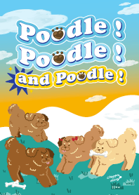 Poodle poodle and poodle!