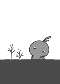 rabbit staring-118-think-02