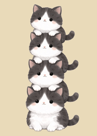 Stacked Cats|Bicolor Beige Healing.2