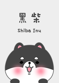 寶貝黑柴狗狗