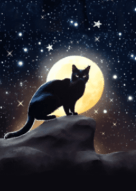 黒猫と幸運を導く満月