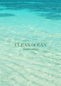 CLEAN OCEAN-Emerald sea HAWAII 17