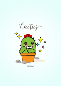 cactus everyday