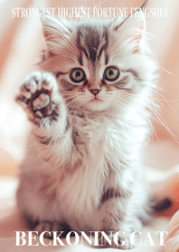 最強最高幸運風水 金運の招き猫 17