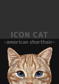 ICON CAT - American Shorthair - BLACK/04