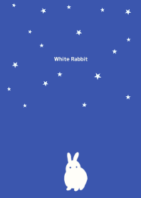 Petit Rabbit-Starlight