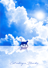 幸運をもたらす✨青空とカギしっぽの猫