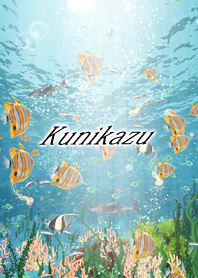 Kunikazu Coral & tropical fish