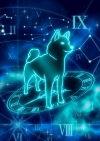 Zodiac Dog -Virgo- 2022