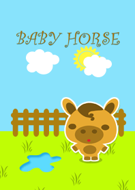Baby Horse