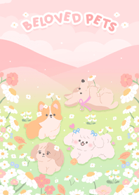 Beloved Pets Moonoiiarch