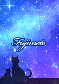 Fujimoto Milky way & cat silhouette