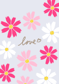 Many cosmoses26 from Japan