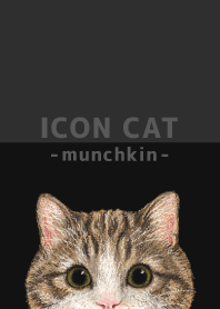 ICON CAT - Munchkin - BLACK/05