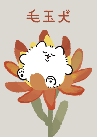Kedama-dog(autumn)