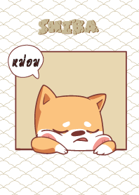 หม่อม ใครไม่บะ ชิบะ 4 V12