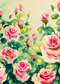 Beautiful rose flower(R4897)