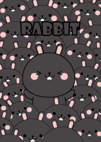 Special Emotion Black Rabbit Theme