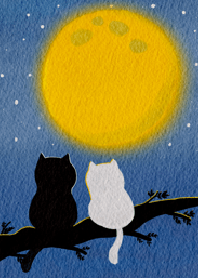 cat and moon.