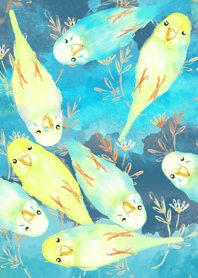 Cute many budgerigars