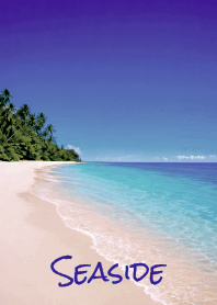 Seaside THEME 19