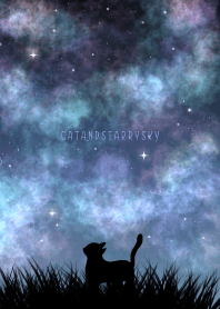CATANDSTARRYSKY -MEKYM- 17