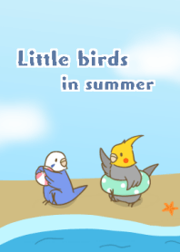 little bird in summer